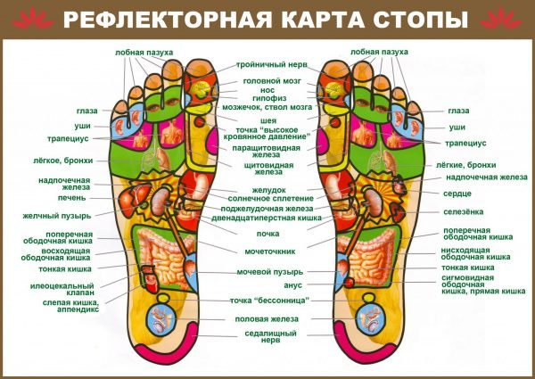 Рефлекторная карта стопы