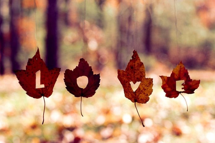осень, кленовые листья, любовь