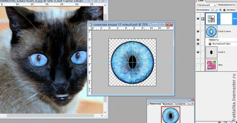 Рисуем реалистичную радужку глаза для сиамской кошки в технике фрактальной графики, фото № 26
