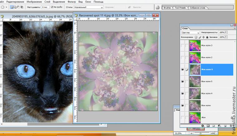 Рисуем реалистичную радужку глаза для сиамской кошки в технике фрактальной графики, фото № 6