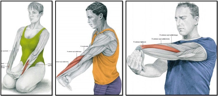 Правильная растяжка мышц