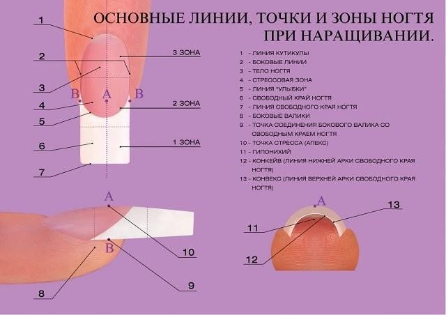 Архитектура ногтя