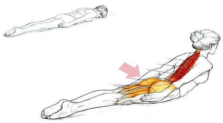 Упражнение для красивой и здоровой спины