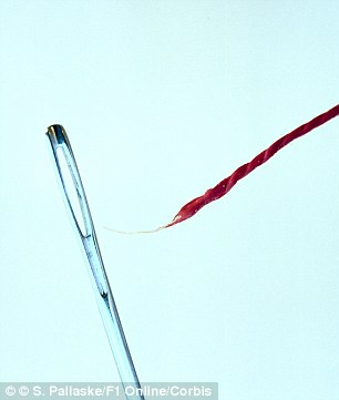 A layer of clear nail polish can make thread easier to pass through the eye of a needle