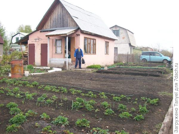 Уже в первый год мы поняли, что нам катастрофически не хватает места на всю семью. Поэтому на семейном совете было принято решение — оборудовать чердак под спальню. А так как еще предстояло выплачивать кредит за сад, то остановились на самом бюджетном варианте мансарды…