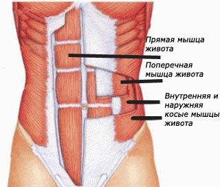 Как правильно качать пресс дома