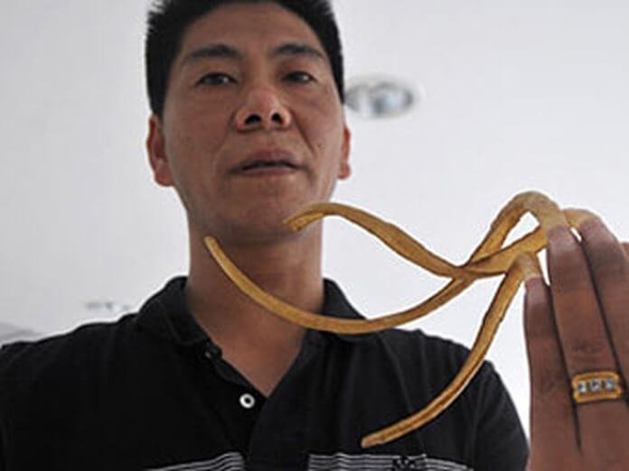 Житель Китая Вен Жан с длинными ногтями