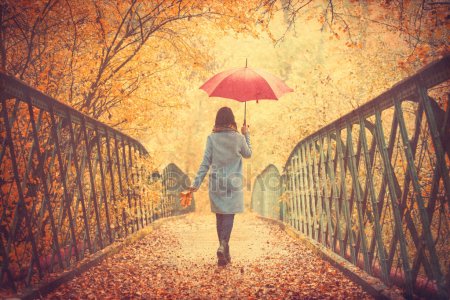 Красивые фото девушек осенью со спины с зонтом (1)