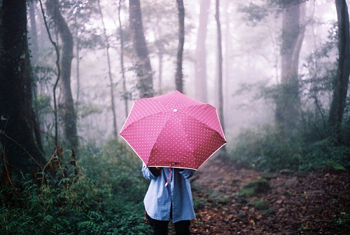 Красивые фото девушек осенью со спины с зонтом (21)