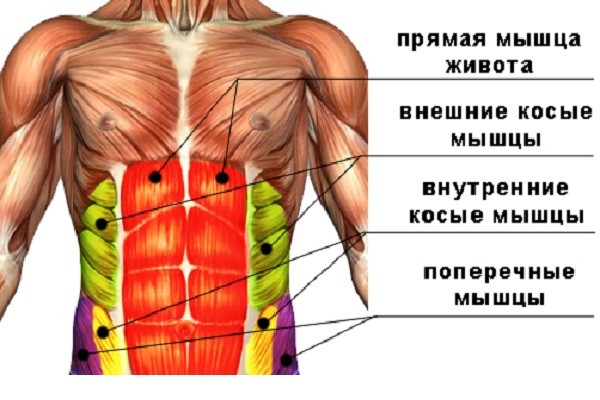 Как устроен пресс