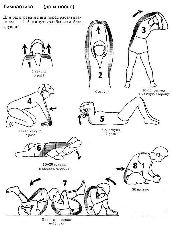 Гимнастика, Упражнения на растяжку «ДО» занятий