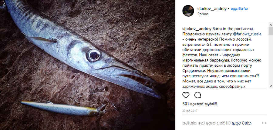 Известный рыбак Андрей Старков изучает товары рыболовного магазина